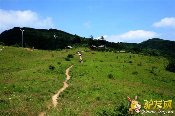 紫柏山景区5.jpg
